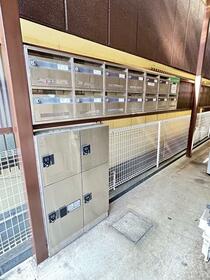 11/11 その他画像