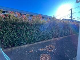 14/16 その他画像