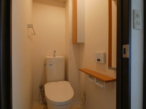 6/11 その他画像