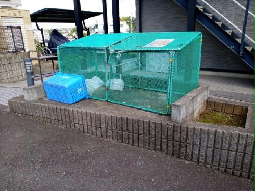 14/14 その他画像