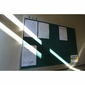 8/16 その他画像