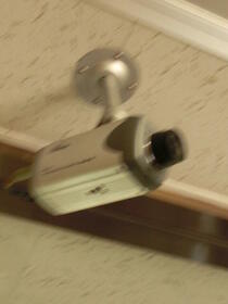 4/11 その他画像