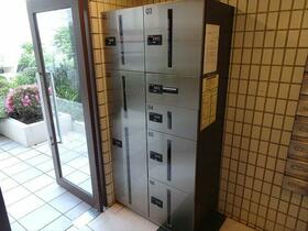 15/16 その他画像