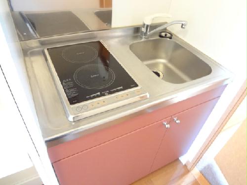 13/14 その他画像