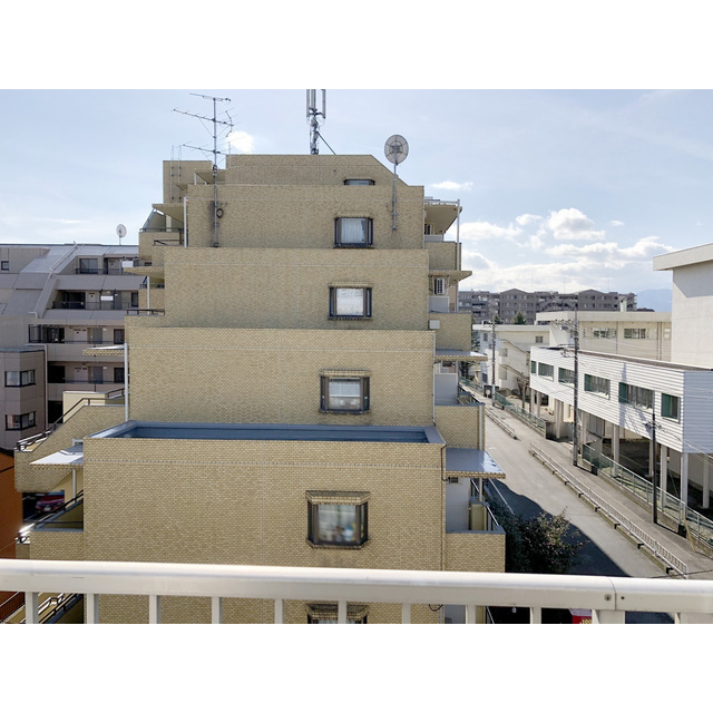 15/19 その他画像