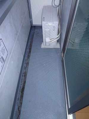 10/17 バルコニー