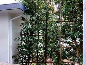 12/16 その他画像