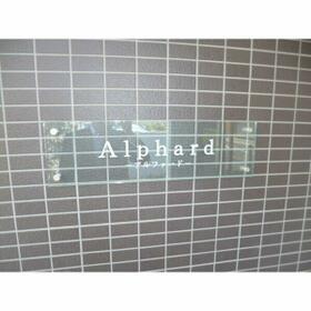 11/16 その他画像