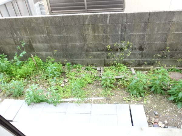 17/26 その他画像