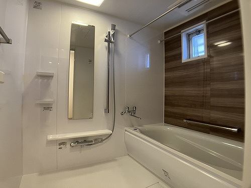 5/11 その他画像