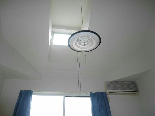 11/14 その他画像