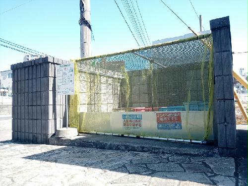 6/13 その他画像