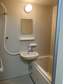 5/12 その他画像