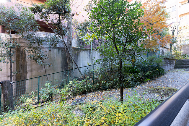 12/17 その他画像