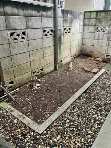 15/19 その他画像