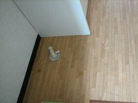 11/11 その他画像