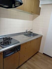 13/16 その他画像