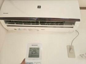 16/16 その他画像