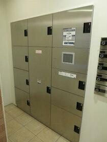 15/16 その他画像