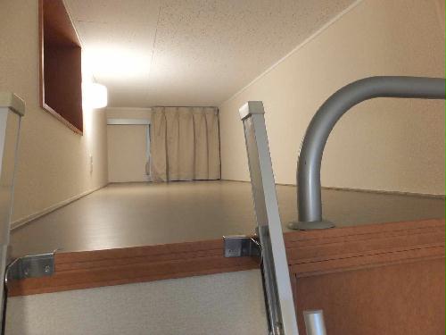 8/13 その他画像