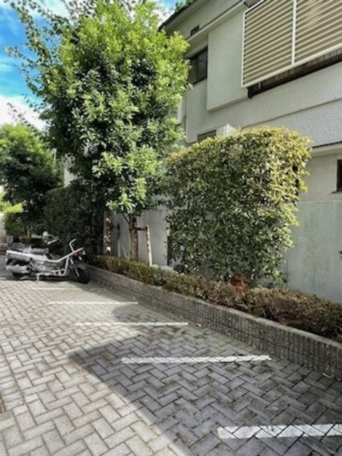 26/29 その他画像