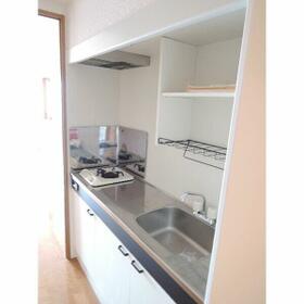 13/13 その他画像