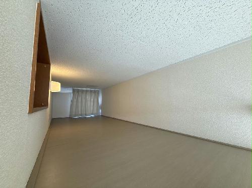 11/14 その他画像