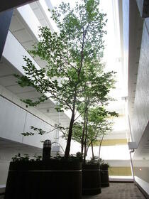 8/12 その他画像