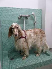 13/16 その他画像