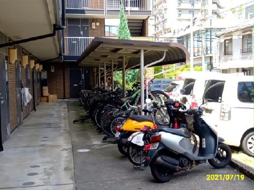 11/14 その他画像