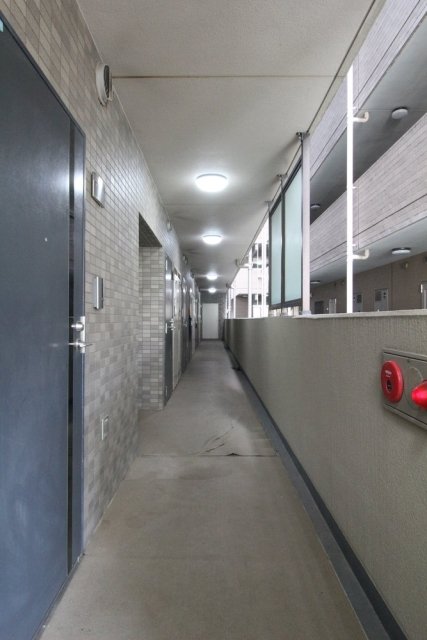 17/19 その他画像