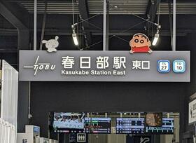 17/17 その他画像