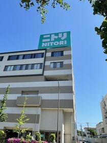 11/16 その他画像