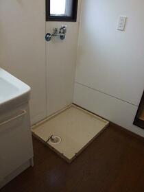 3/15 その他画像