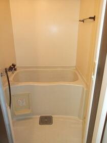 5/15 その他画像