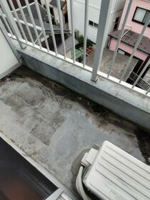 13/16 その他画像