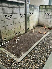 15/16 その他画像