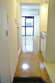 5/11 その他画像