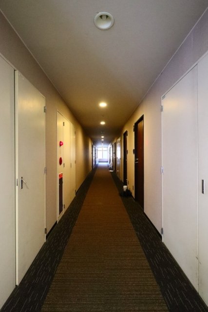 17/28 その他画像