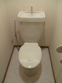 8/16 その他画像