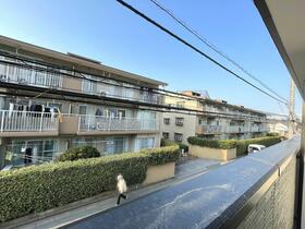 13/16 その他画像