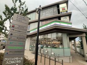 13/16 その他画像