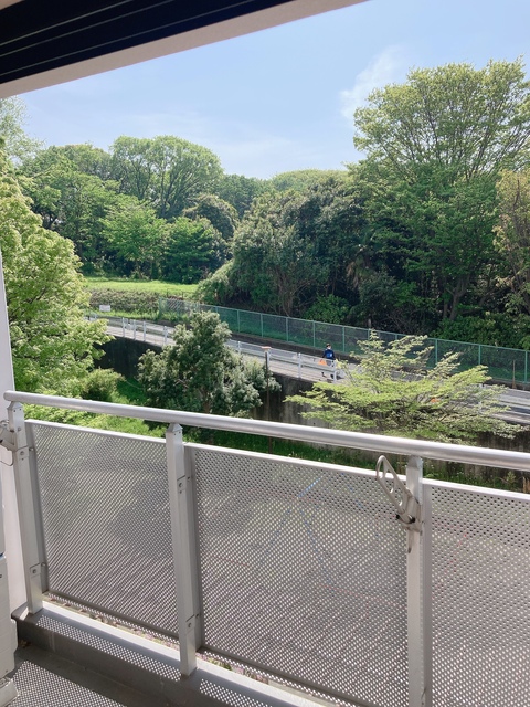 17/29 その他画像