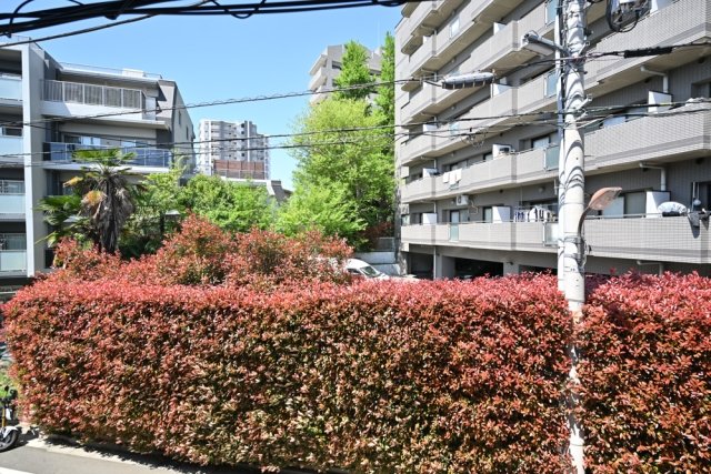 20/22 その他画像