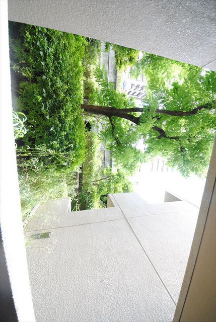 17/29 その他画像