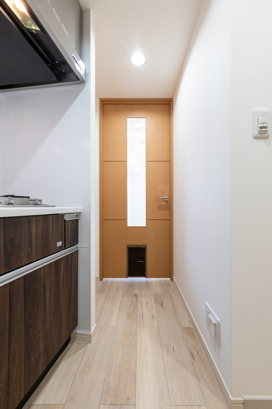 19/21 その他画像