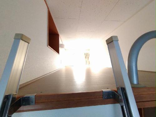 14/17 その他画像