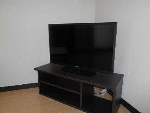 13/14 その他画像