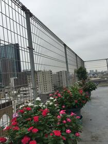 10/14 その他画像