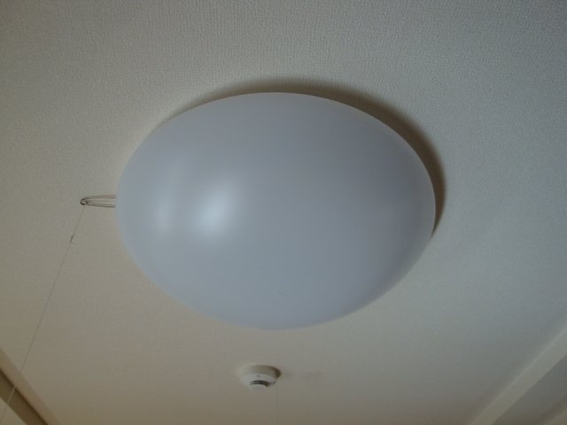 19/29 その他画像